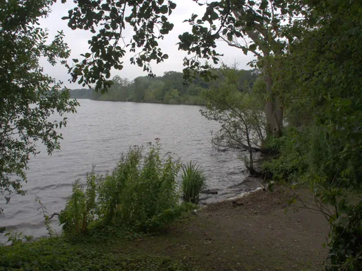 Nettetal (Duitsland)